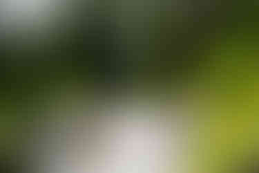 240629_RTHOMMEN_00757_WEB