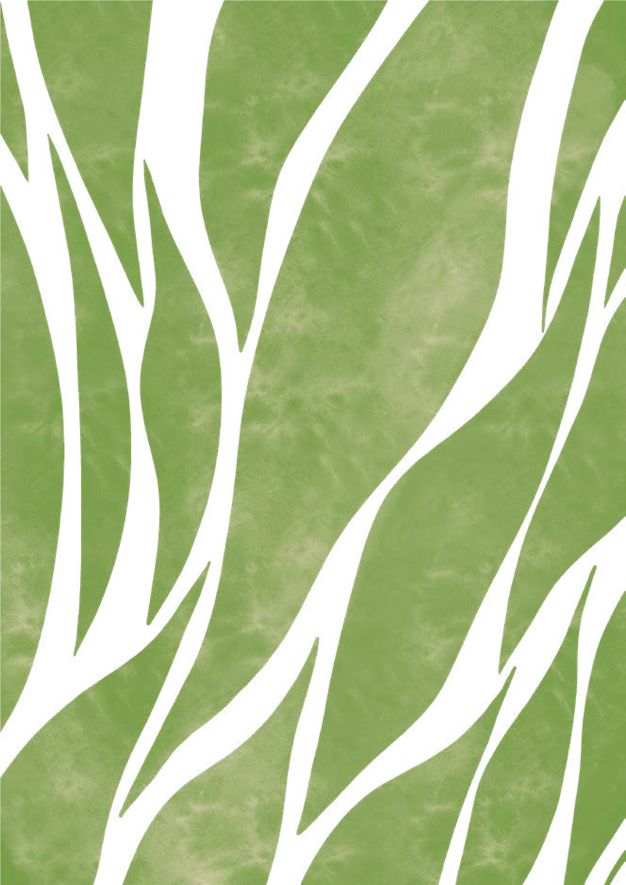 Asset 13pattern_edited.png