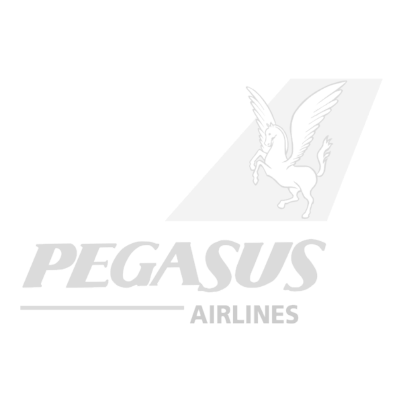 pegasus-airlines-logo-png_seeklogo-107154_edited_edited.png