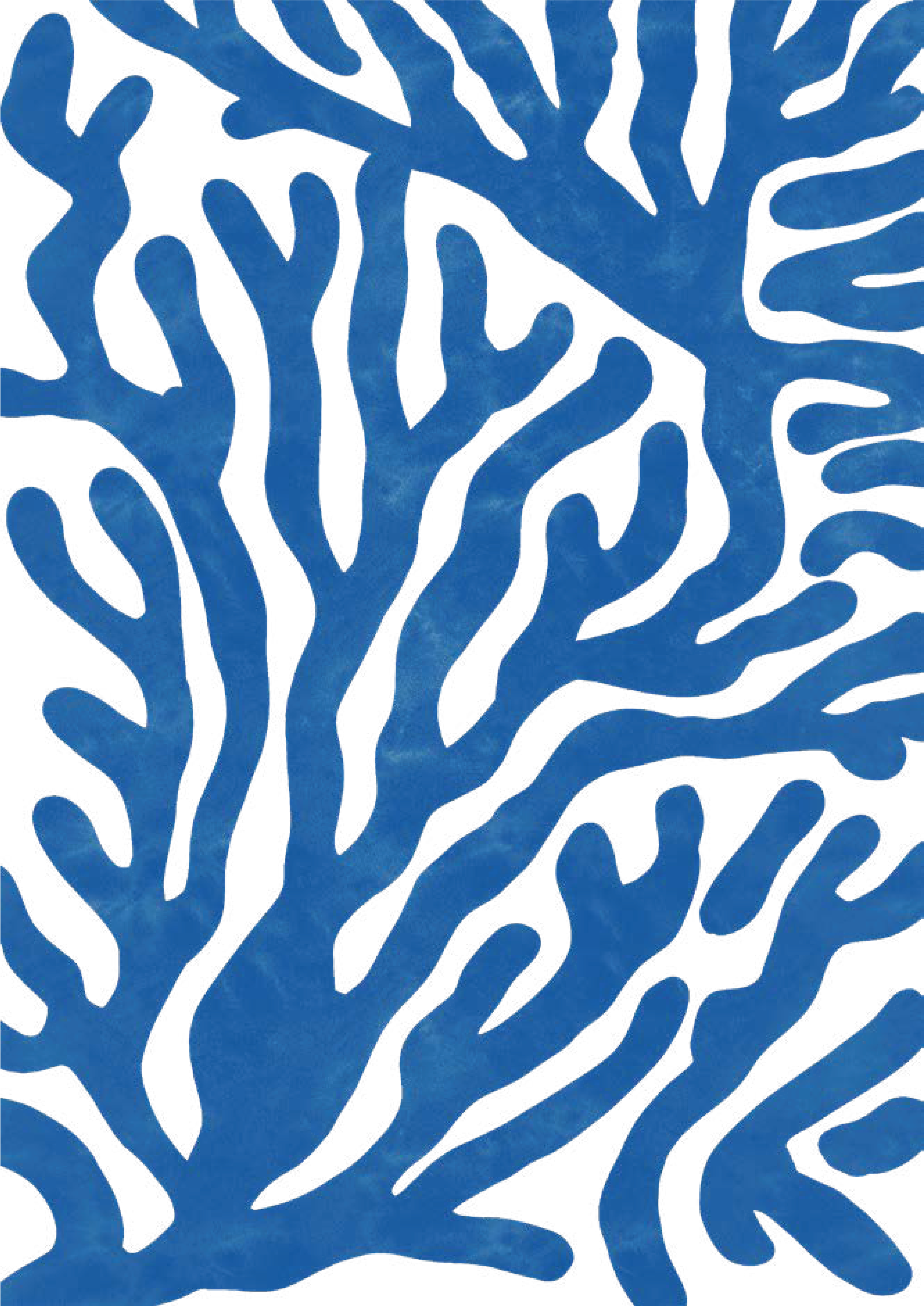 Asset 13pattern_edited.png