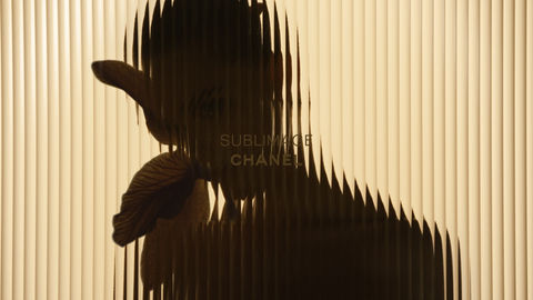 Chanel - Sublimage le teint