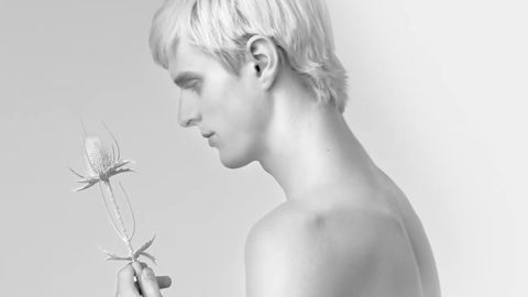 Boucheron - Impermanence
