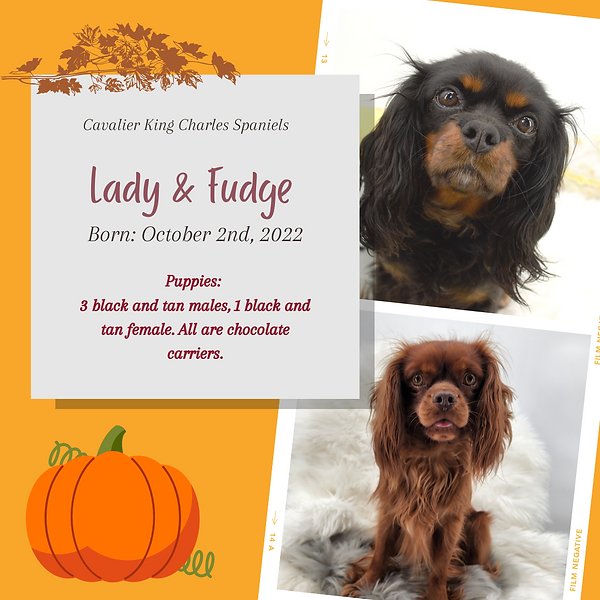 Heritage Garden Dogs (23).png