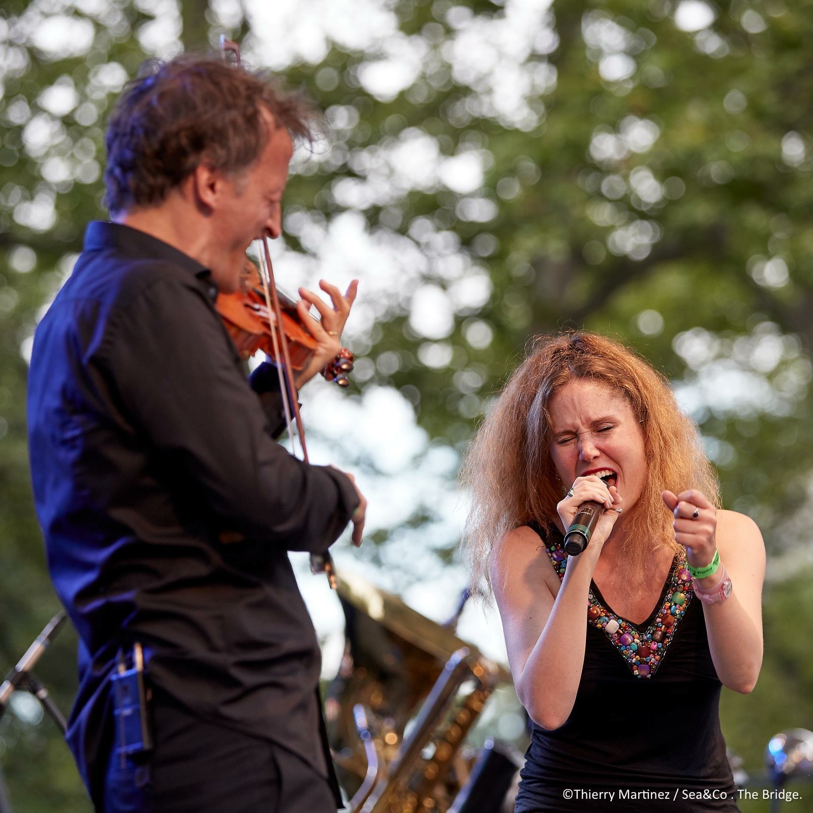 Summerstage Central Park