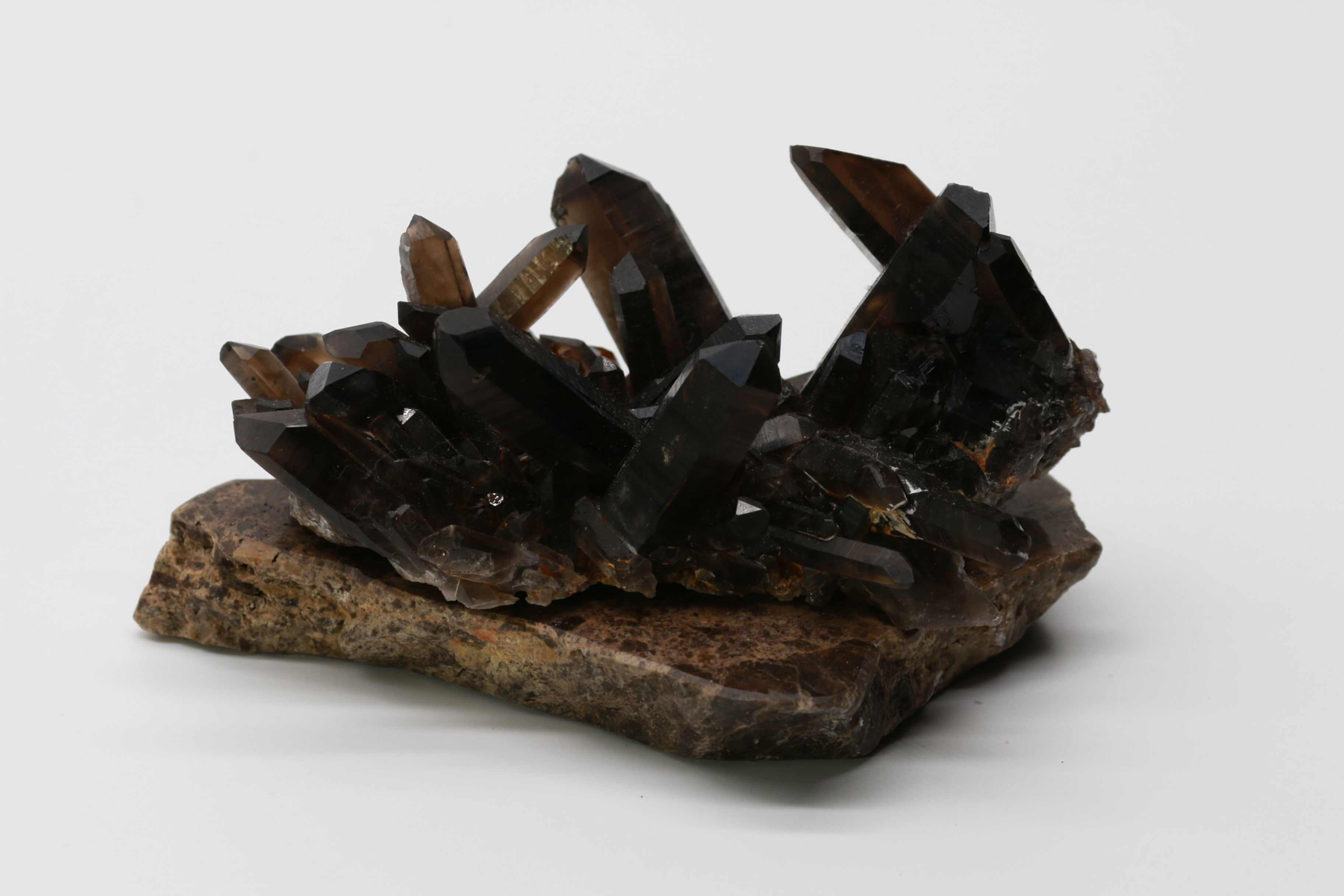 Smoky Quartz 黑煙晶簇