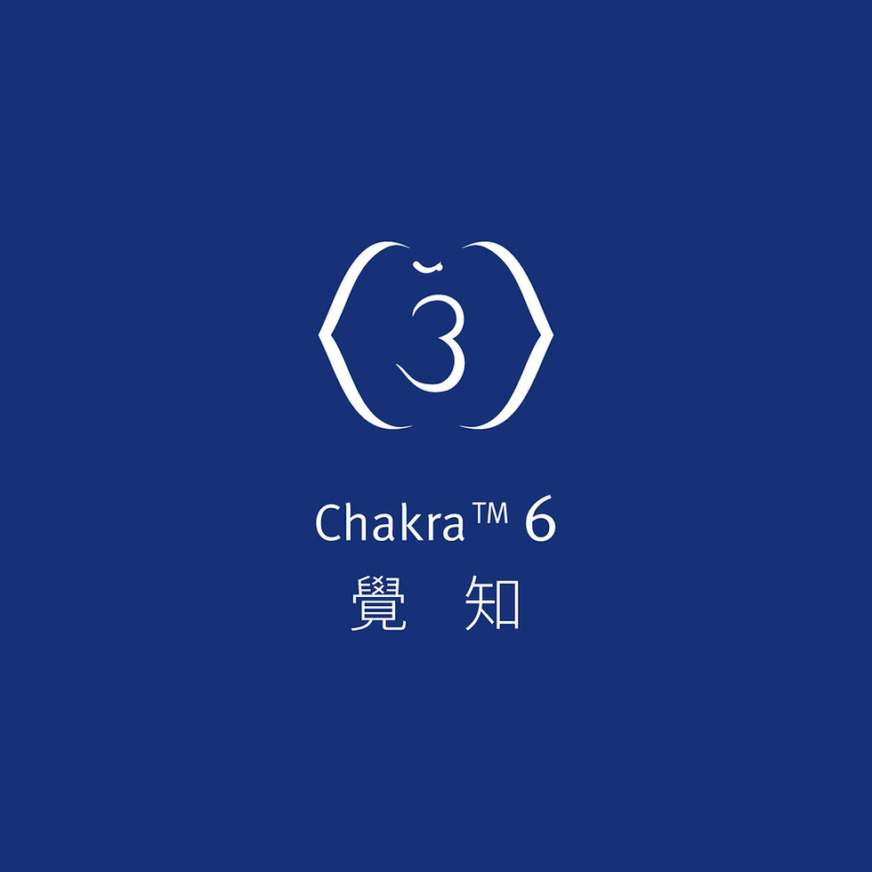 縮圖：chakra 6 平衡純香霧 覺知