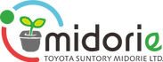 植生牆 日本綠牆TOYOTA SUNTORY Midorie室內綠化 辦公室綠化 無土介質 耐陰植物