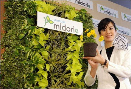 植生牆 | 日本綠牆TOYOTA SUNTORY Midorie室內綠化植生牆 | 綠化 | 無土介質 |  | 辦公室綠化 | 台北市松山區民權東路三段144號522