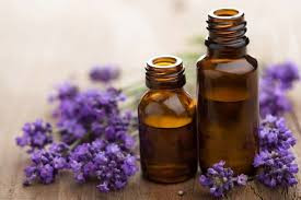 The Best Essential Oils for Better Breathing