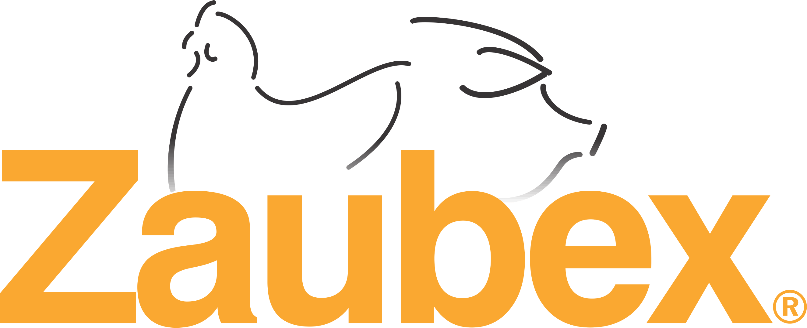 logo_zaubex.gif