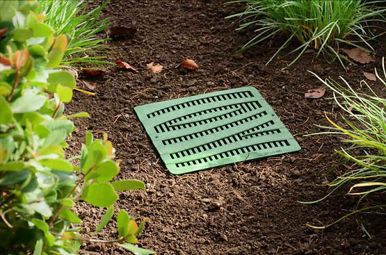 Catch basin in yard.jpeg