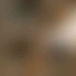 Cervera Autumn Campaign