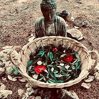 Self Care Herbal products