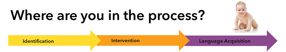 Flow Chart of DHH EI Services.png