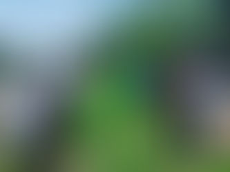 活動の様子