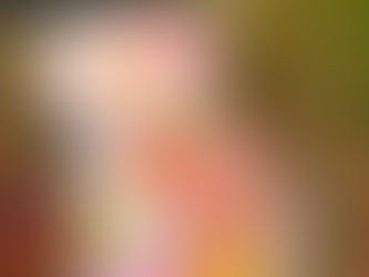 まだまだ暑いので…