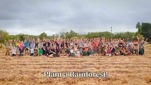 The Daintree Oxbow’s first Annual Rainforest Rescue Community Tree Planting