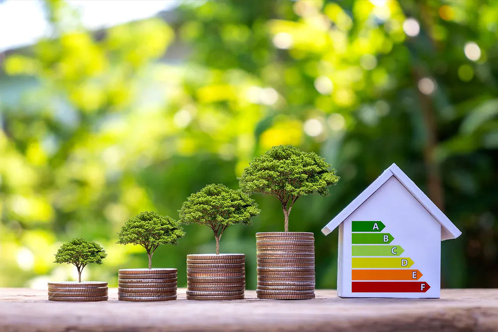 the cost of being green