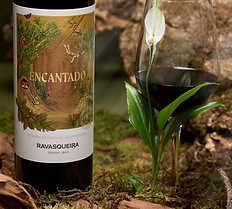 ENCANTADO 23089_OPO_0010_Encantado_Tinto_2_8K_edited.jpg