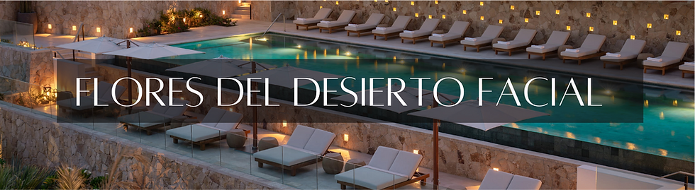 Screenshot 2025-04-03 at 8.59.49 PM.png