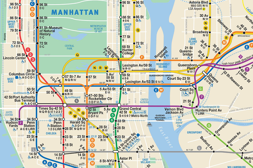 The Unstable Public-Health Ecology of the NY Metropolitan Region