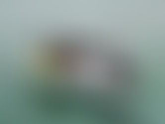 2014 Reunion - Antigua