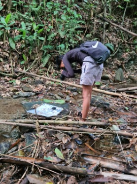 Female hiker on a river bed, bending over taking photos of specimens