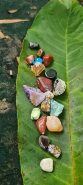 Colourful pebbles on a large green leaf