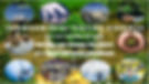 Environmental Testing Services