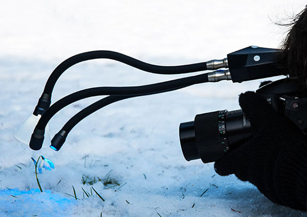 adaptlux.jpg