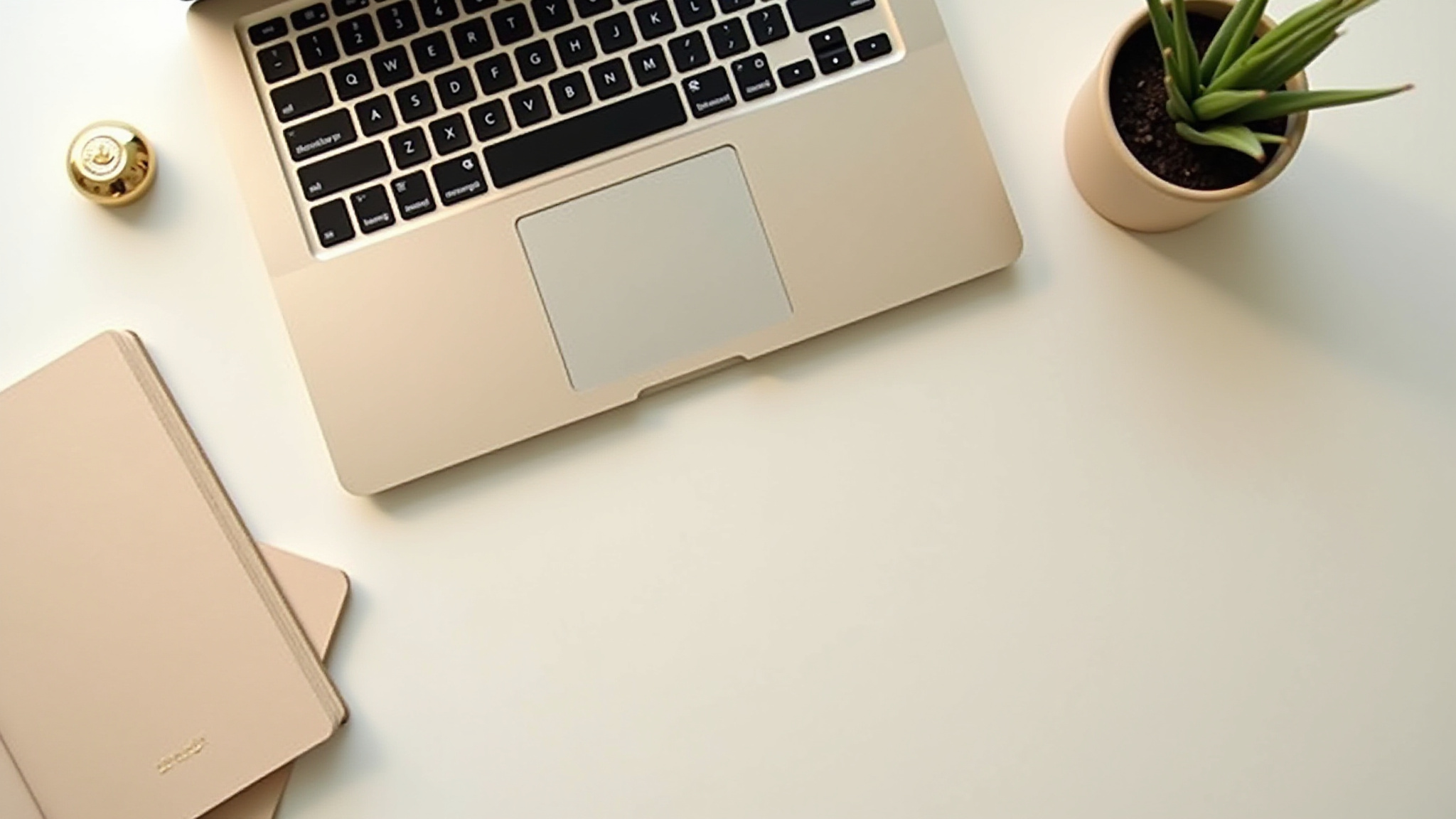Open Laptop on a desk with a desk plant