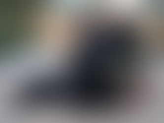 The Haunted Origins: The Real Story Behind the Screaming Tunnel