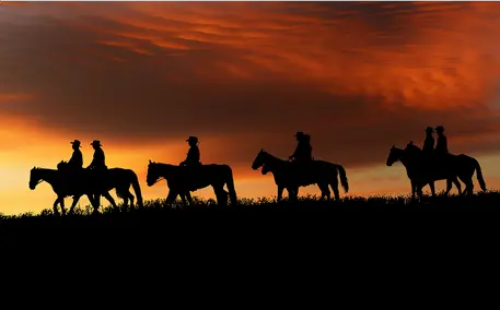 Popularity of Westerns