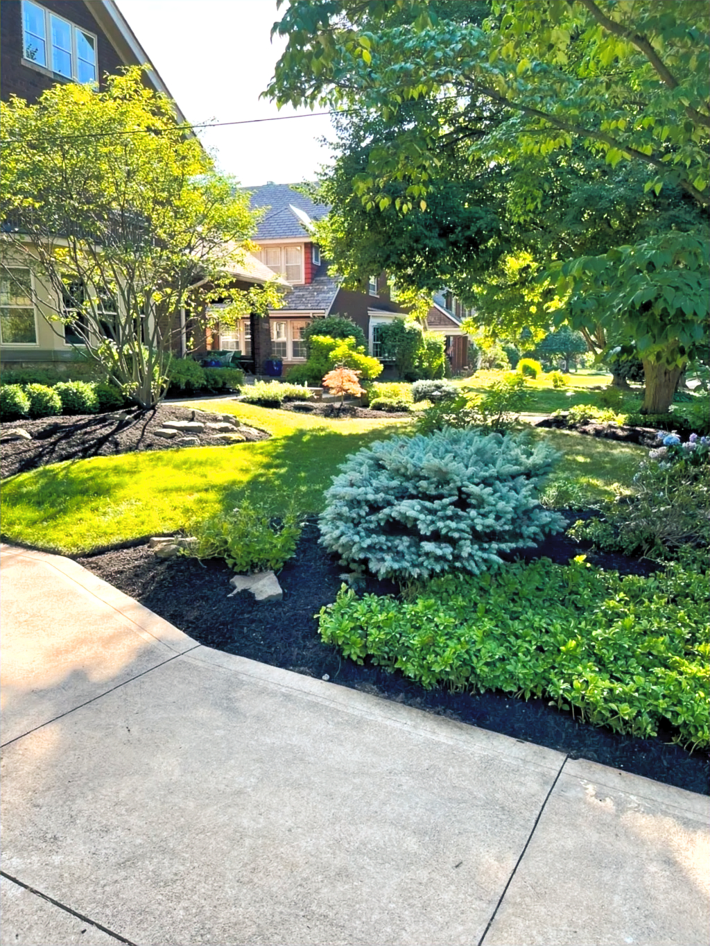 Luxury Landscape Design