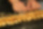 5S9A0344.JPG