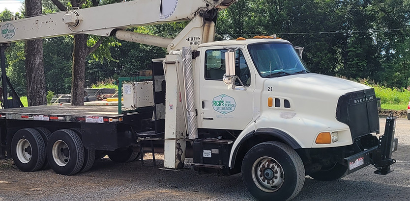 21 ton crane - equipment.jpg