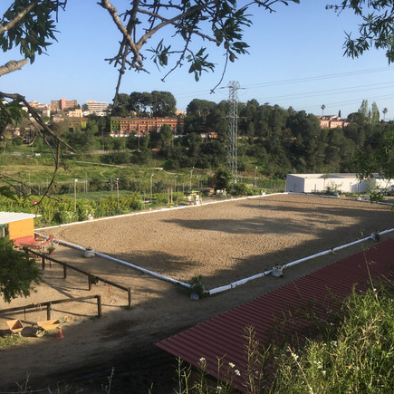 Dressage Arena 40x20