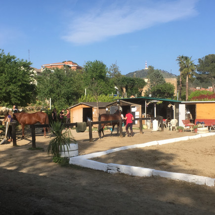 Riders and horses