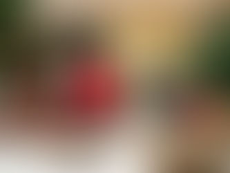 The Quiet Collapse of Helping Professionals in December