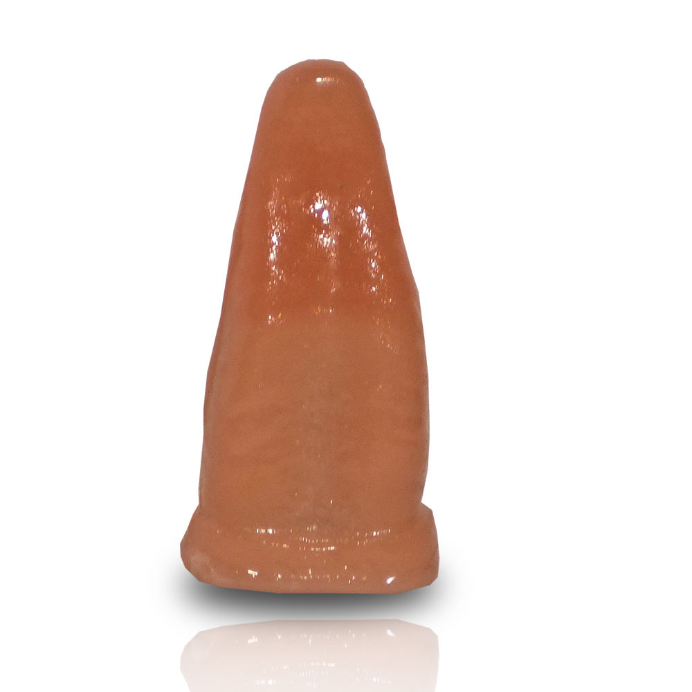 Lengua