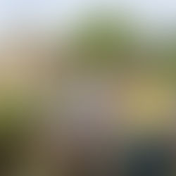 En 2026, Découvrez la nouvelle Zone Egypte du Parc Astérix