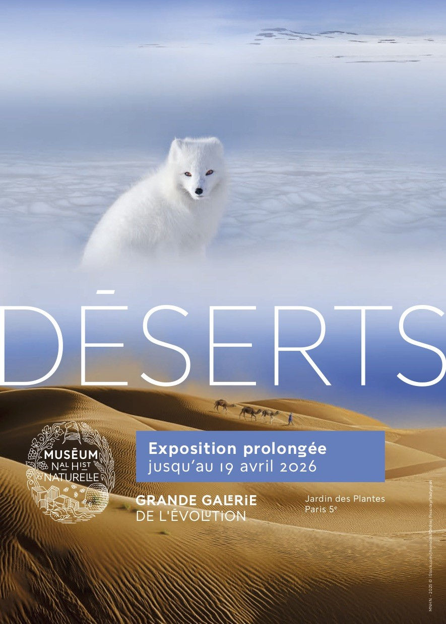 Exposition : Déserts