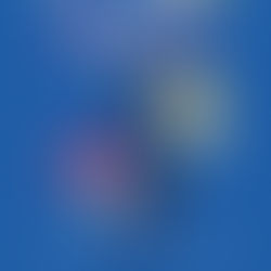 Les demoiselles de Rochefort