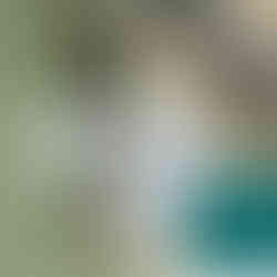 玄関照明塗装　上塗り1回目