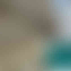 鼻隠し塗装　上塗り１回目