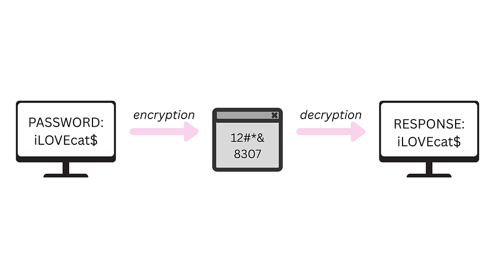 The process of encryption of a password.