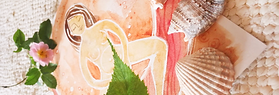 281683429_707653327022561_4421420850348524110_n_edited_edited.png