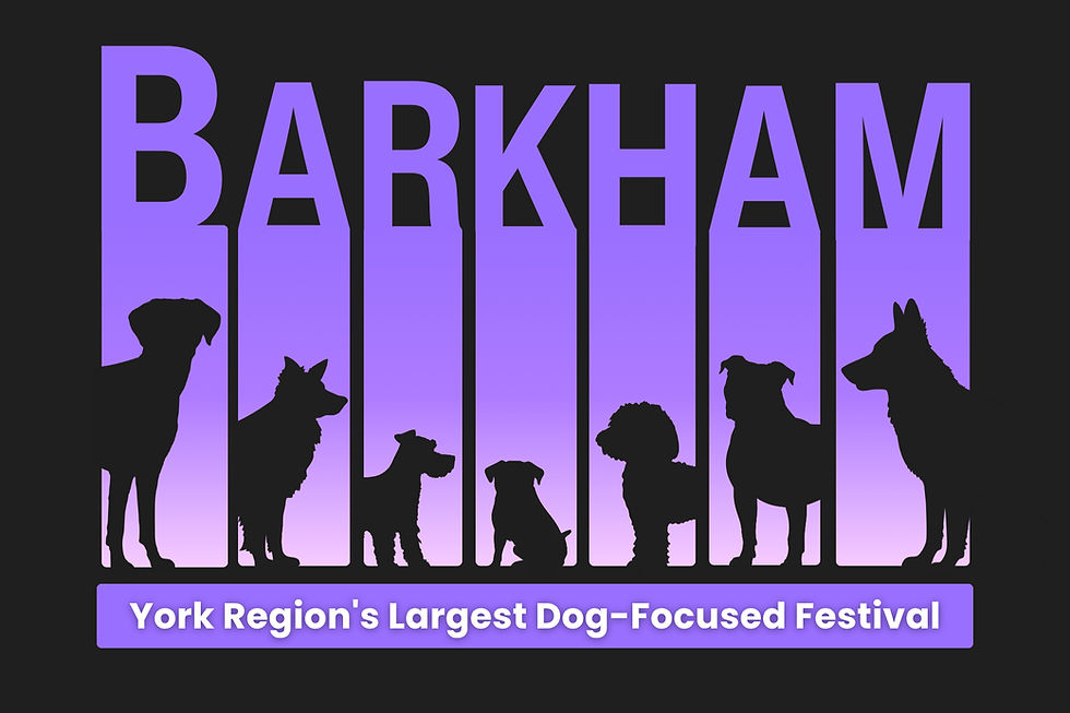 Barkham Festival 2027