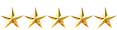 SWIM (4)_edited.png