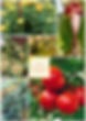 WhatsApp Image 2023-05-18 at 3.17.11 PM (1).jpeg